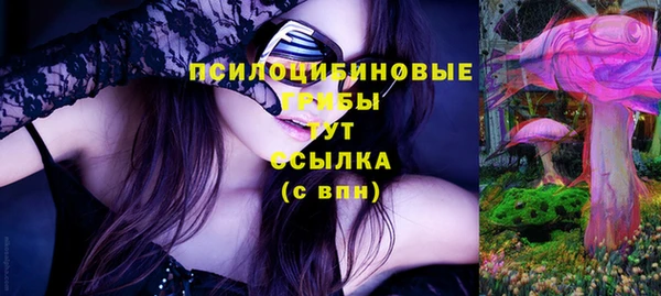 гашик Абинск