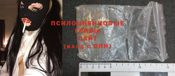 тгк Абаза